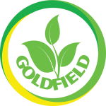 Công Ty TNHH GoldField