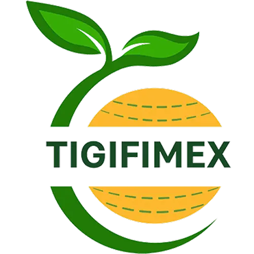 Công Ty TNHH Xuất Nhập Khẩu Trái Cây Tiền Giang