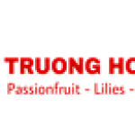 CÔNG TY TNHH THƯƠNG MẠI & DỊCH VỤ TRƯỜNG HOÀNG LÂM ĐỒNG