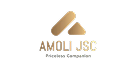 CÔNG TY TNHH AMOLI VIỆT NAM