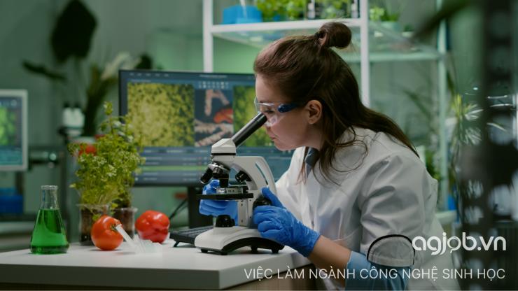 Cơ hội việc làm công nghệ sinh học tại TPHCM