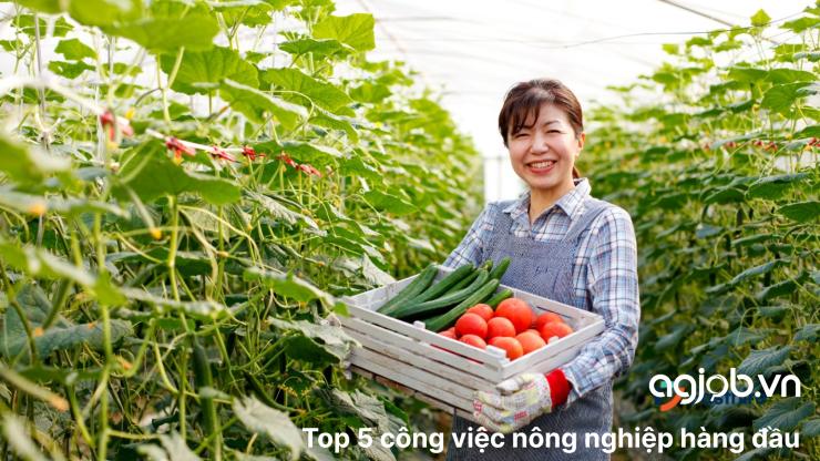 Top 5 việc làm ngành nông nghiệp hàng đầu
