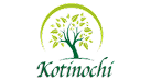 CÔNG TY CỔ PHẦN KOTINOCHI