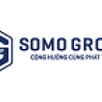 CÔNG TY CỔ PHẦN TẬP ĐOÀN SOMO VIỆT NAM