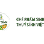 Công ty TNHH Thủy Sính